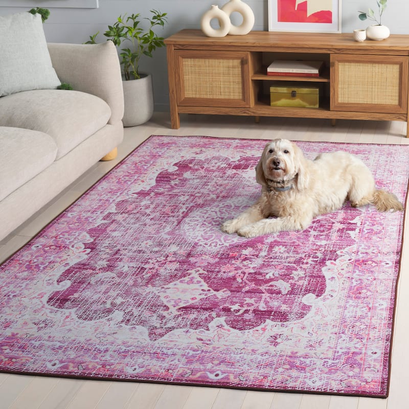 SAFAVIEH Tucson Floor Transitional Rug