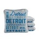 preview thumbnail 1 of 2, Detroit Football Gray Dual Sided Cornhole Bags