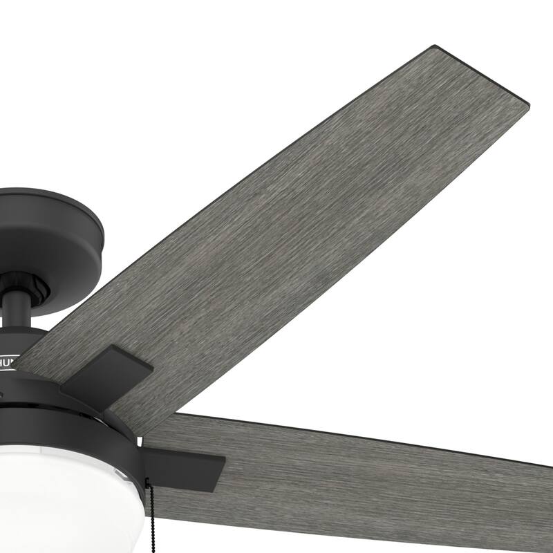 Hunter 44" Matte Black Ceiling Fan with LED Light Kit and Pull Chain