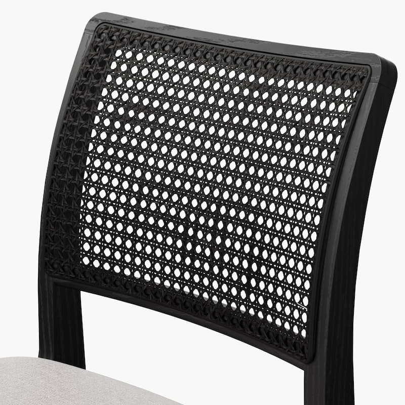 Modern Brazilian - Larissa Side Chair