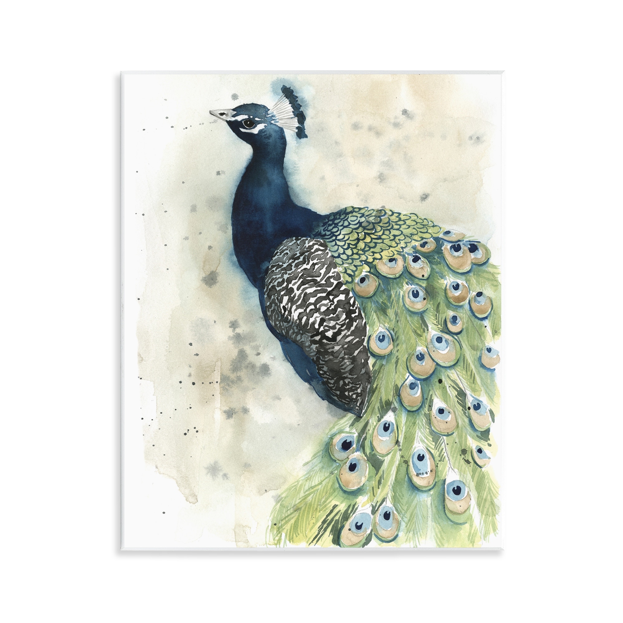 Stupell Modern Style Peacock Portrait Wall Plaque Art Design By Grace Popp