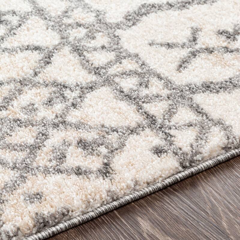 Livabliss Transitional Andorra Trellis Area Rug