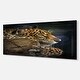 Designart 'Relaxing Jaguar' Animal Photography Metal Wall Art - Bed ...