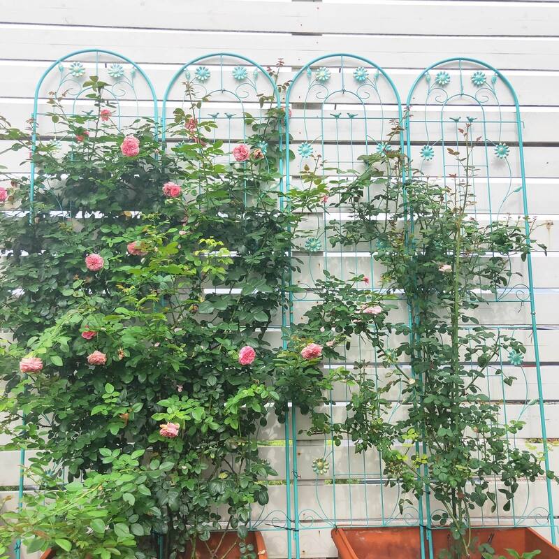 86.7" x 19.7'' Rust-Resistant Climbing Trellis for Garden Flowers and Vines - Green - 4 Pack
