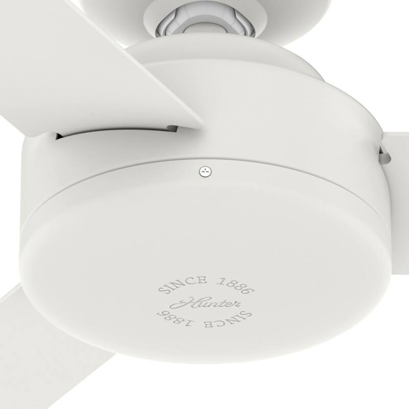 Hunter 52" and 44" Presto Ceiling Fan w/ Wall Control - Contemporary, Industrial, Scandinavian