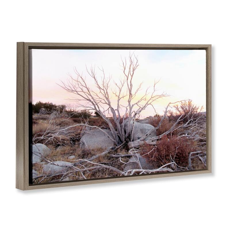 Stupell Rocky Foothills Terrain Framed Floater Canvas Wall Art Design By Gemma Bardot