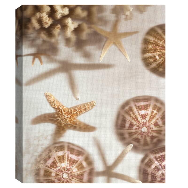 Nautical Illuminations No. 3 Canvas Art Print
