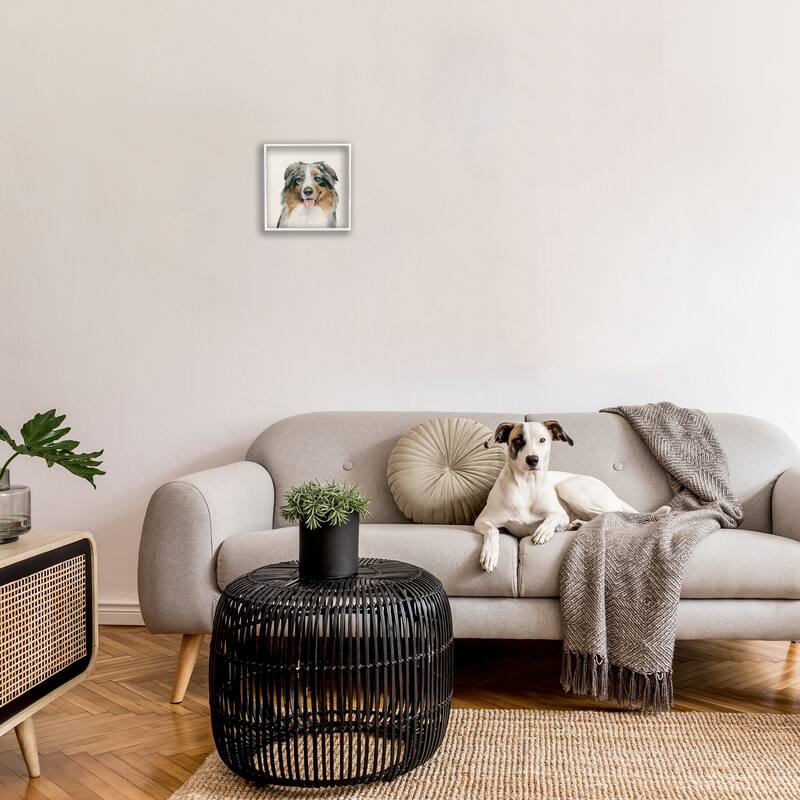 Stupell Soft Charming Australian Shepard Dog Portrait Framed Wall Art,12x12