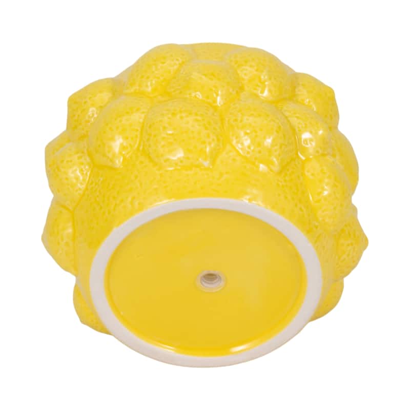 Textured Stoneware Ceramic Planter with Sculpted Bulbous Design