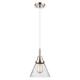 Option Polished Nickel / Seedy Shade