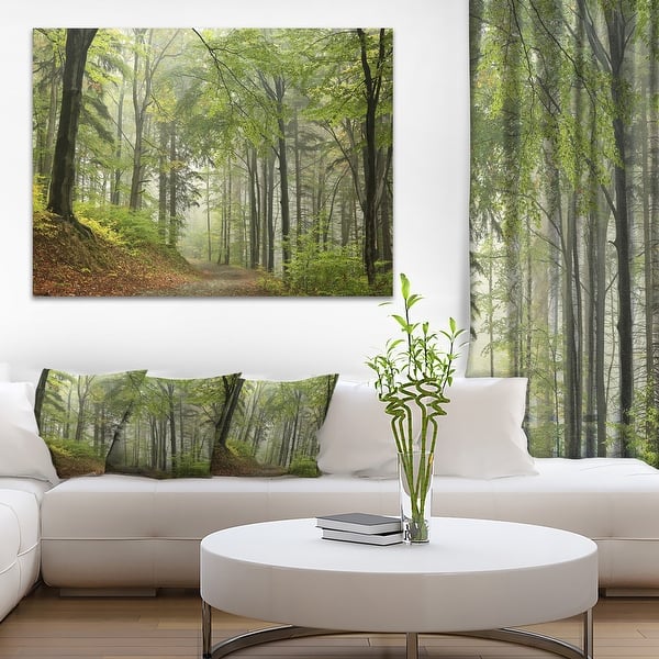 Green Beach Forest Pathway - Landscape Photography Canvas Print ...