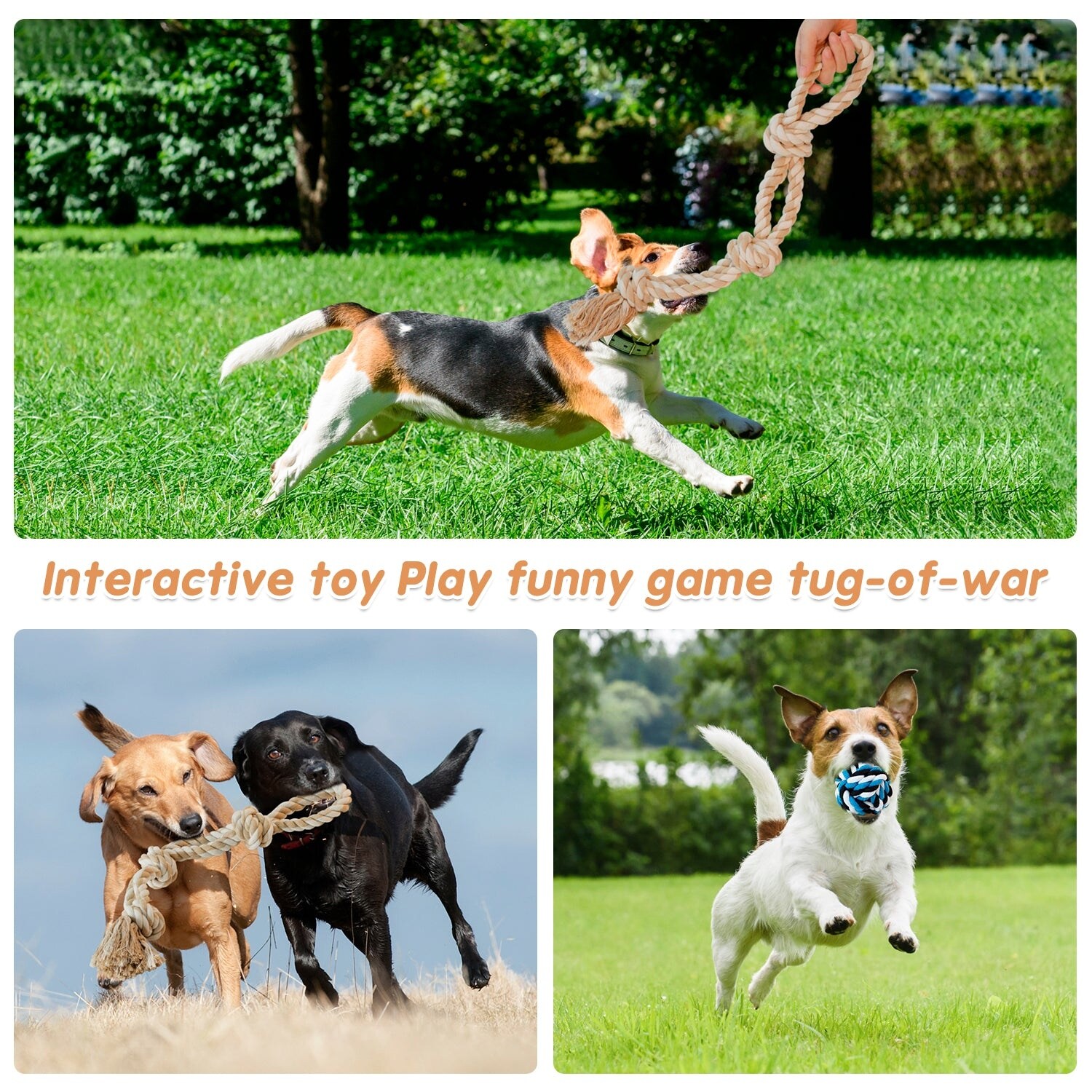 tough dog toy Fofos Tough Dog Toy Pig