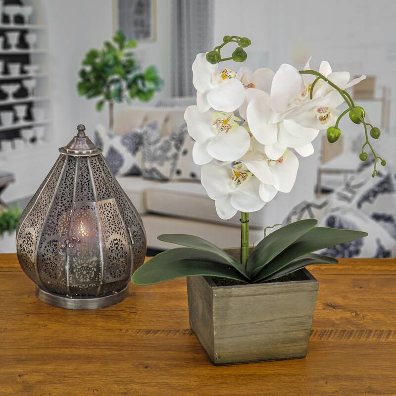 National Tree Company 21 in. White Orchid Flower in Wood Box