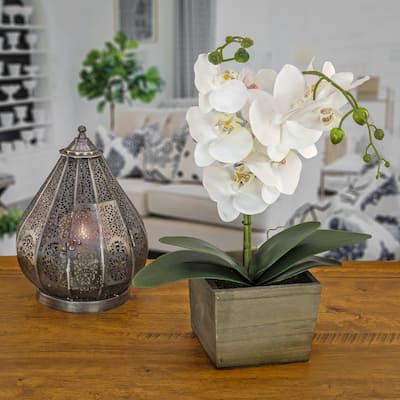 National Tree Company 21 in. White Orchid Flower in Wood Box