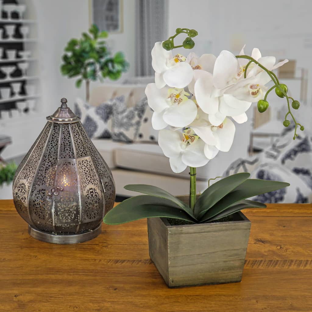 National Tree Company 21 in. White Orchid Flower in Wood Box