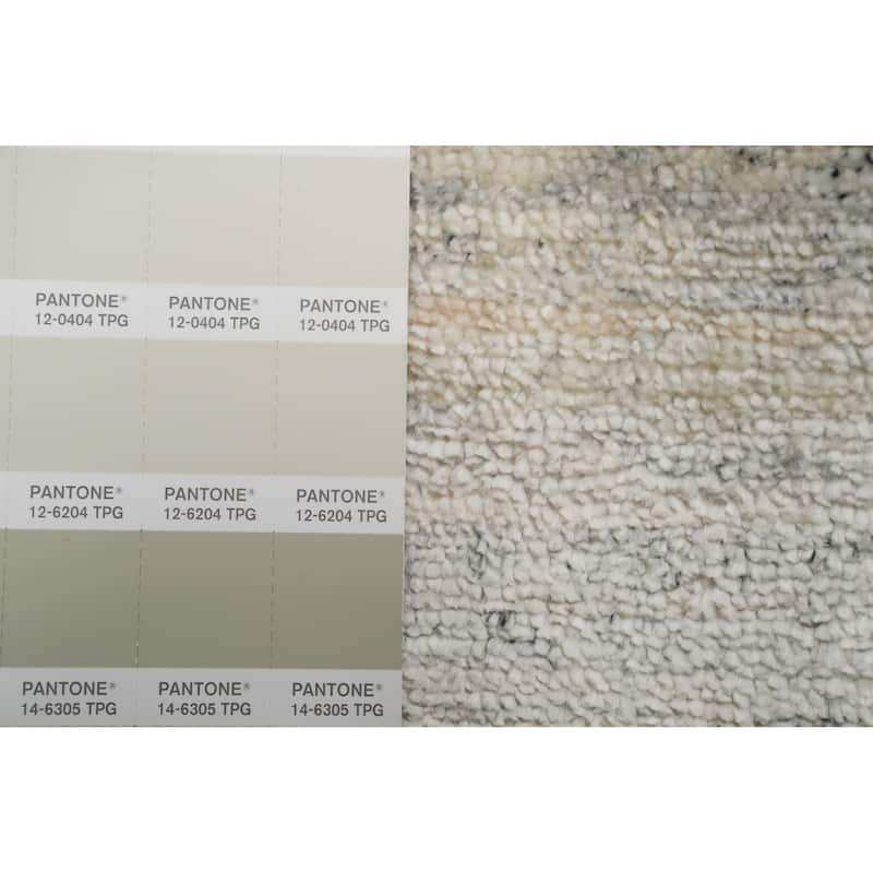Hand Knotted Oriental Viscose Silk Carpet Tribal Animal Pictorial Beige & Ivories Gabbeh Area Rug - 11' 10'' X 8' 8''