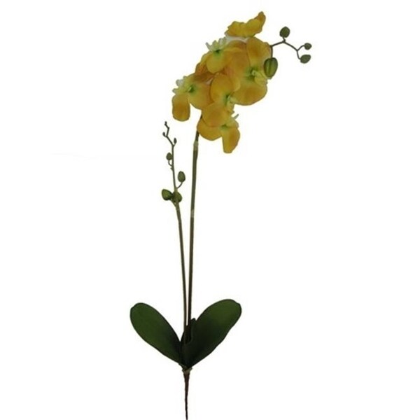 Admired by Nature GPL951-BUTTER Artificial Orchid Phalaenopsis Spray Butter - 3 x 31 in.