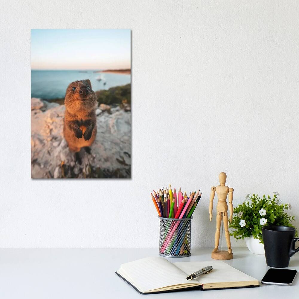 iCanvas "Cute Quokka By The Ocean" by James Vodicka Canvas Print
