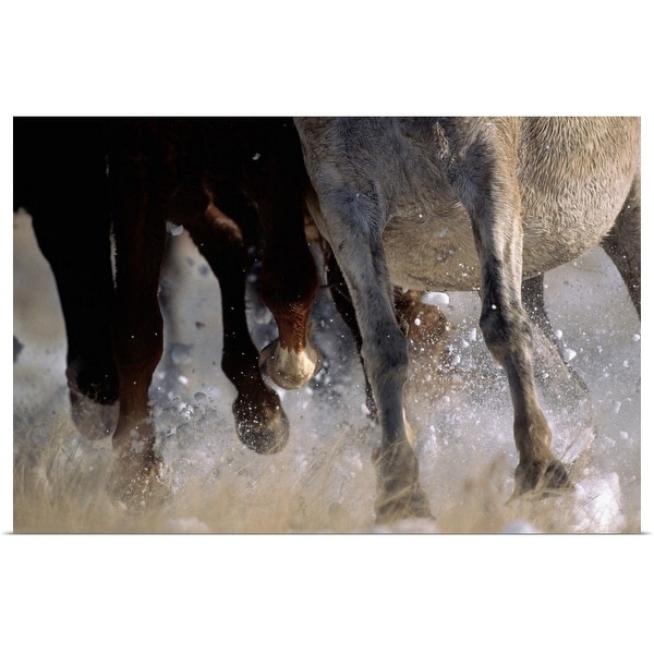 "Wild horses running through snow, USA" Poster Print