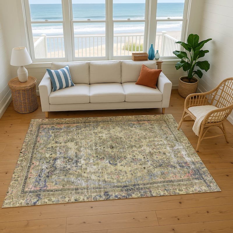 Premium Washable Super Soft Vintage Traditional Mayfield Rug