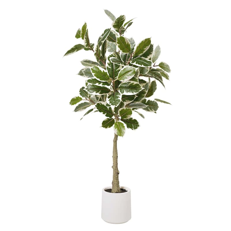 American Art Decor Artificial Faux Tree in White Tapered Ceramic Pot - 60" - Variegated Rubber Tree (Matte White Pot)