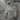 Galerie Wallcoverings City Romance Collection Grey Dancer Graphics 4-Panel Wall Mural