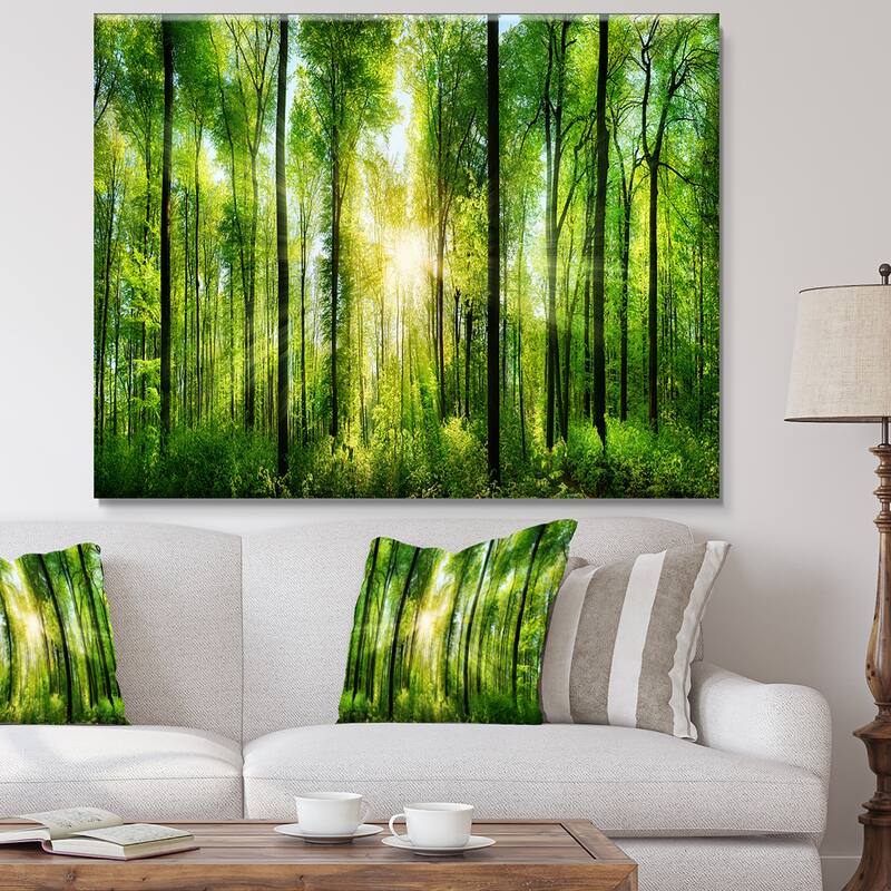Designart "Forest with Rays of Sun Panorama" Landscape Canvas Print