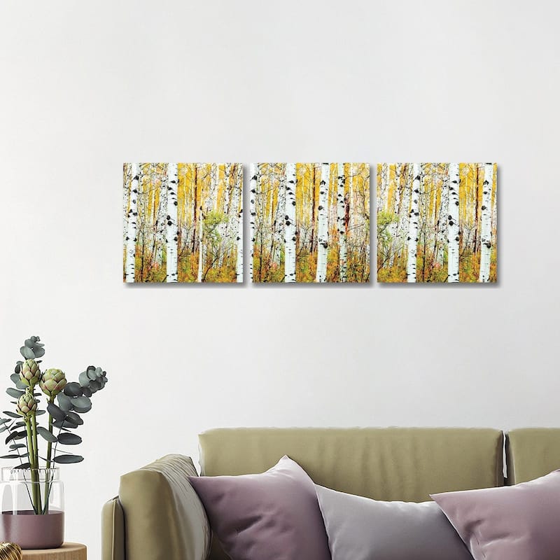 iCanvas "Aspen Trees Panorama ,Colorado" by Susanne Kremer 3-Piece Canvas Wall Art Set - 16x48x1.5