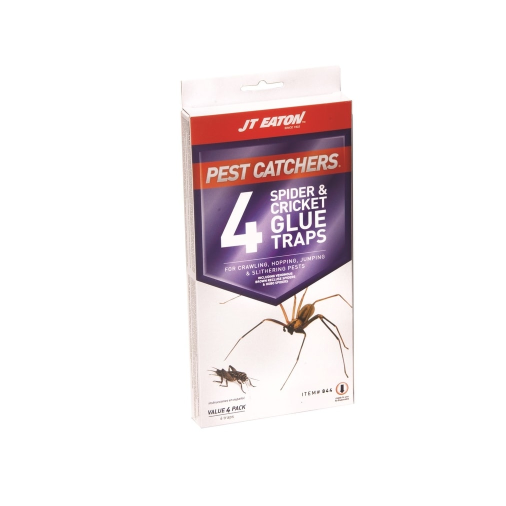  Safer Brand 07270 Clothes Moth Alert Trap : Home Pest Control  Traps : Home & Kitchen