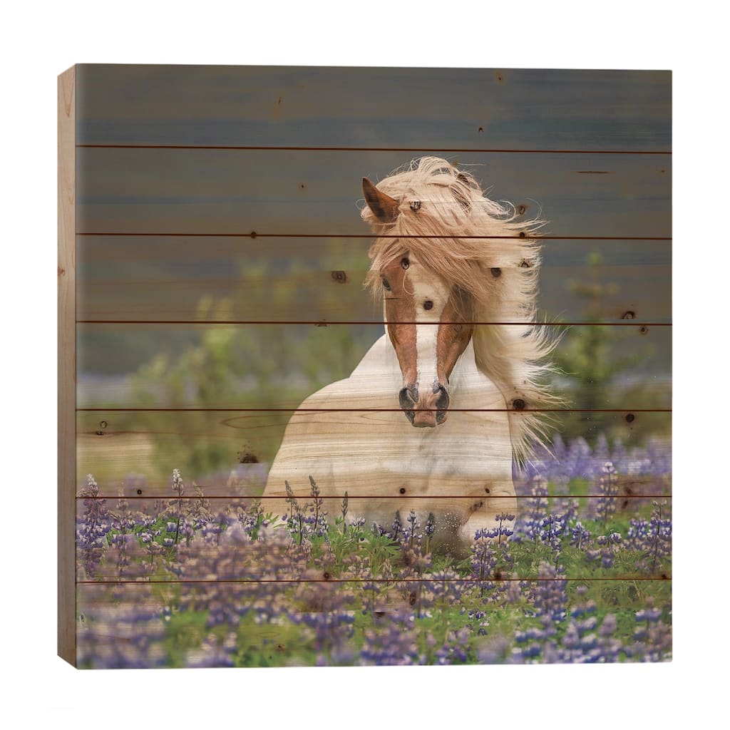 Trotting Icelandic Horse II, Lupine Fields, Iceland Print On Wood by Panoramic Images - Multi-Color
