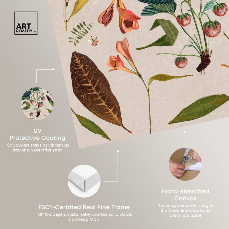 Floral Diagram Montage Canvas by Art Remedy, Gallery Wrapped