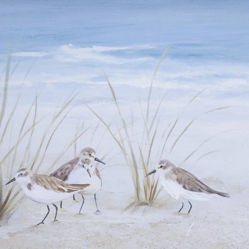 Canvas Bird Living Room Framed Wall Art with Silver Frame - Blue - Roche River Decor