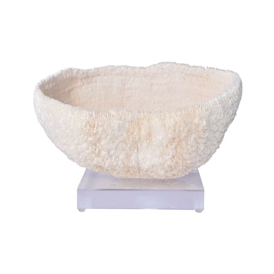 Bowl Coral 10-12 Inch On Acrylic Base