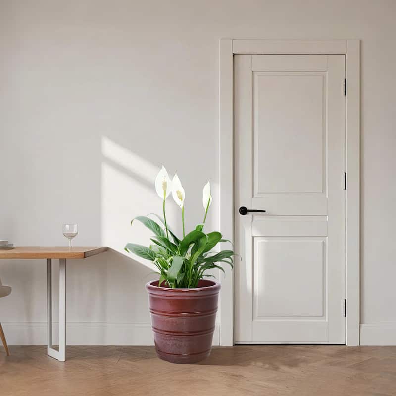 3 Breathable Handmade Ceramic Planters Ring Design for Succulent Herbs