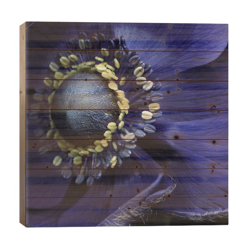 Anemonissimo! Print On Wood by Magda Indigo - Multi-Color - 26x26x1.5