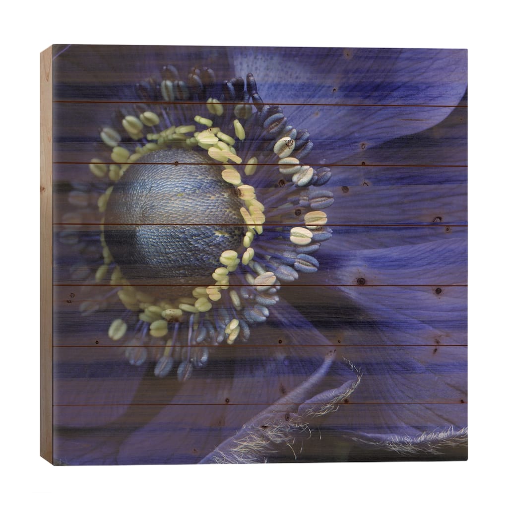 Anemonissimo! Print On Wood by Magda Indigo - Multi-Color