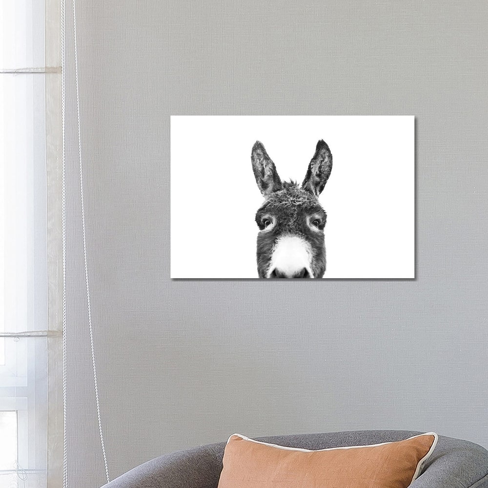 iCanvas "Peeking Donkey In Black & White" by Sisi & Seb Canvas Print