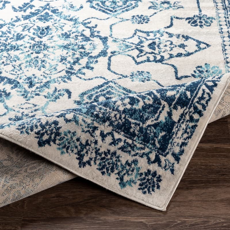 Artistic Weavers Enya Distressed Oriental Area Rug