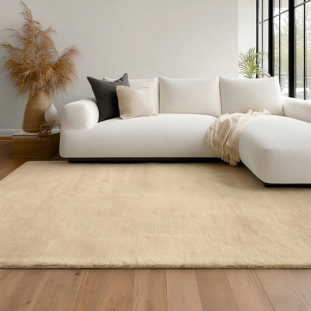 ECARPETGALLERY Argo Plush & Shags Machine Washable Area Rug