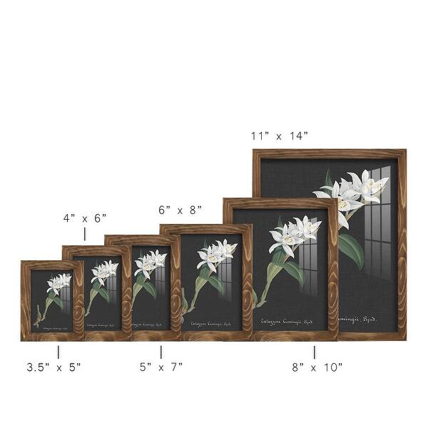 dimension image slide 5 of 11, Orchid on Slate III -Framed Print w/glass-Cherry Red