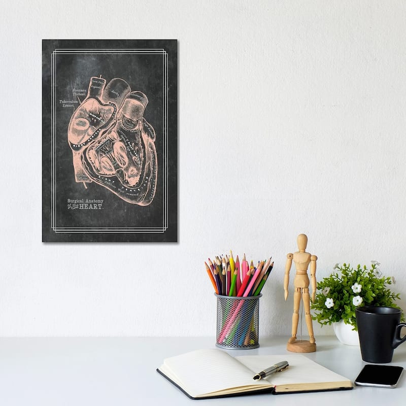 iCanvas "Surgical Anatomy Of The Heart" by ChartSmartDecor Canvas Print - 12x8x0.75