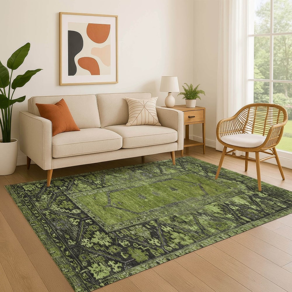 Premium Washable Super Soft Traditional Global Mayfield Rug