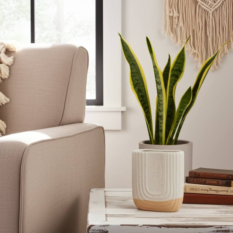 Rectangular Speckled Sand Upside Down Arch Vase - Ivory, 8"