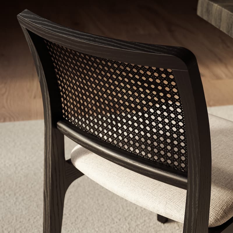 Modern Brazilian - Larissa Side Chair