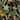 Harry & Grace Panther Jungle Peel and Stick Wallpaper - 20.5 in W x 18 ft. L
