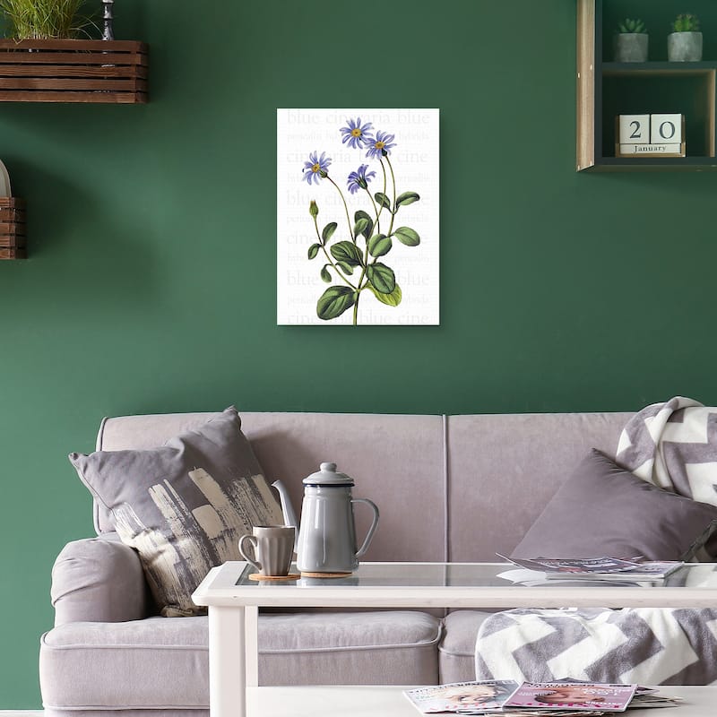 Blue Cineraria Text Canvas Art Print