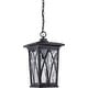 preview thumbnail 1 of 3, Grover 1-Light Outdoor Hanging Lantern in Mystic Black Mystic Black