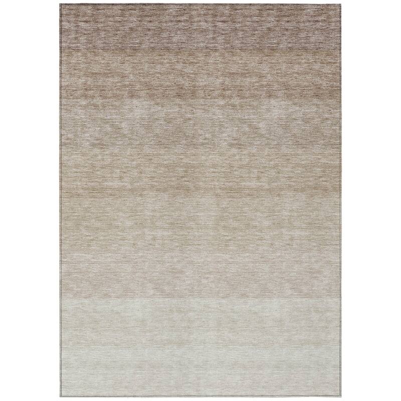HomeRoots Ombre Transitional Rectangle Outdoor Rug