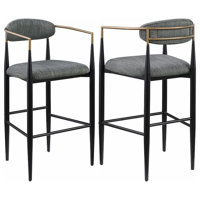 Tina Fabric Upholstered Metal Armrests Chairs (Set of 2)