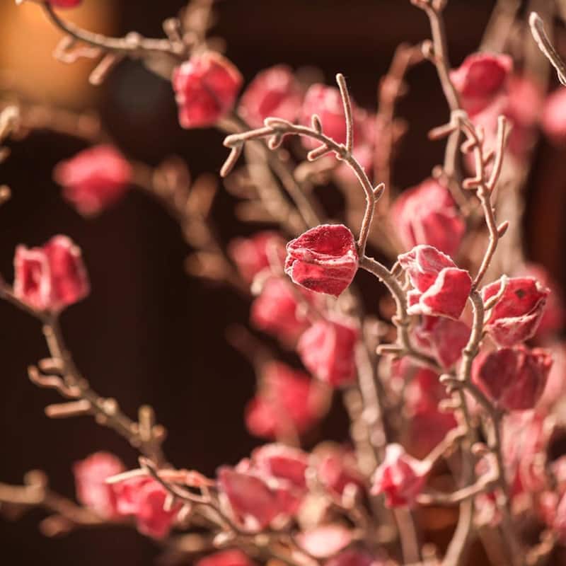 RusticReach Sujin Dried Fruit Branch Stem 28" Tall